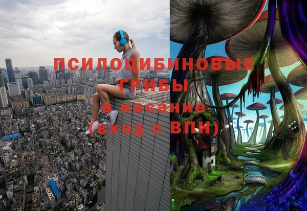2c-b Белокуриха